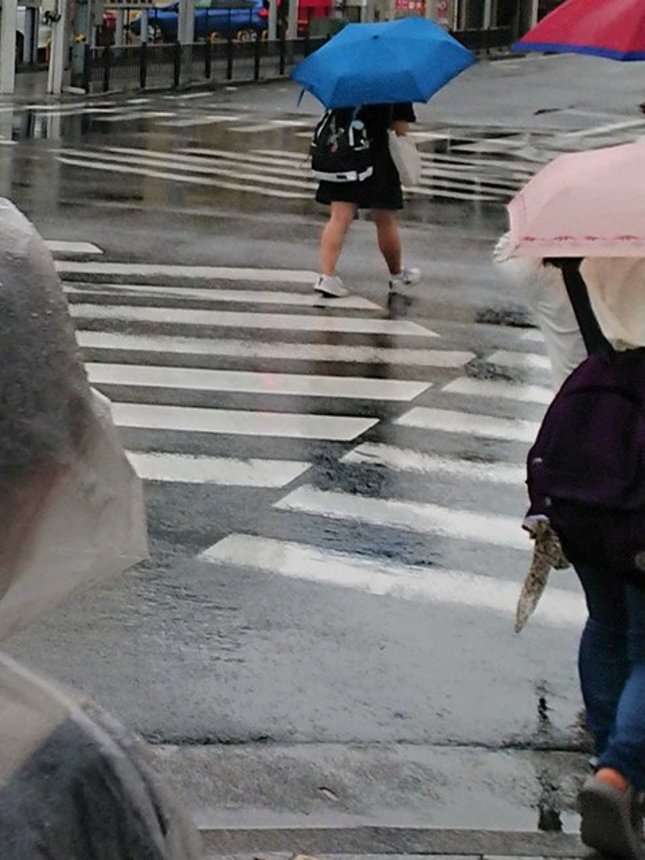 ４日午前の岐阜市内
