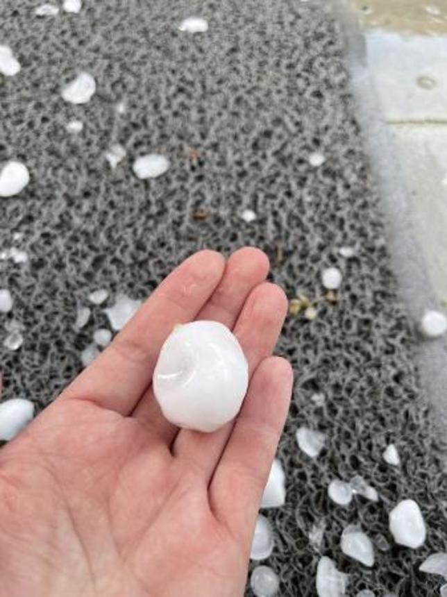 　群馬県藤岡市立北中の敷地内に降ったひょう。ゴルフボールほどの大きさのものもあった＝２０２２年６月（同校提供）
