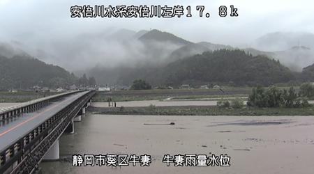 　大雨で増水した静岡市の安倍川＝１５日朝（国交省提供）