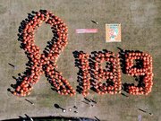 約４５０人で描き出した人文字。「１８９」は全国共通相談ダイヤルの番号＝岐阜市長良福光、岐阜メモリアルセンター（主催者提供）
