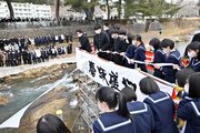 伝統の「白線流し」で結んだスカーフを流す卒業生ら＝１日午後１時２分、高山市大新町、大八賀川