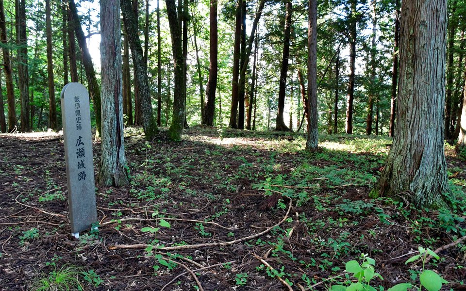 自綱が広瀬氏を破り、居城とした広瀬城跡。２年後に城を明け渡し、京へ逃走する＝高山市国府町名張