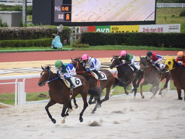 約８カ月ぶりにレースが再開した笠松競馬の第１レース＝羽島郡笠松町、笠松競馬場