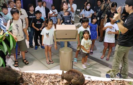 　鹿児島県奄美市の「奄美大島世界遺産センター」で開催された館内ツアー＝２６日午前