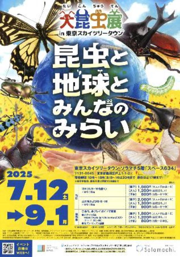 　「大昆虫展ｉｎ東京スカイツリータウン」のチラシ