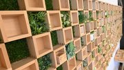 特産品である木升で飾られたユニークな店内＝大垣市東外側町、マスカフェ