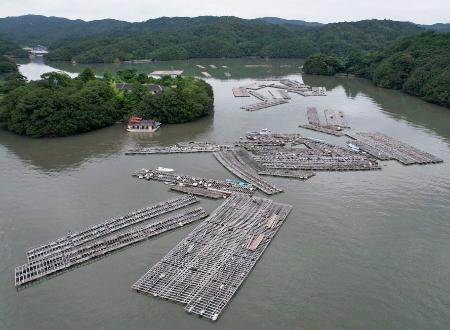 　津波で流されたカキ養殖用のいかだ＝３１日、三重県鳥羽市（同市提供）