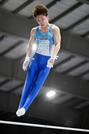 　男子個人総合で初優勝した三輪哲平の鉄棒＝アリーナ立川立飛