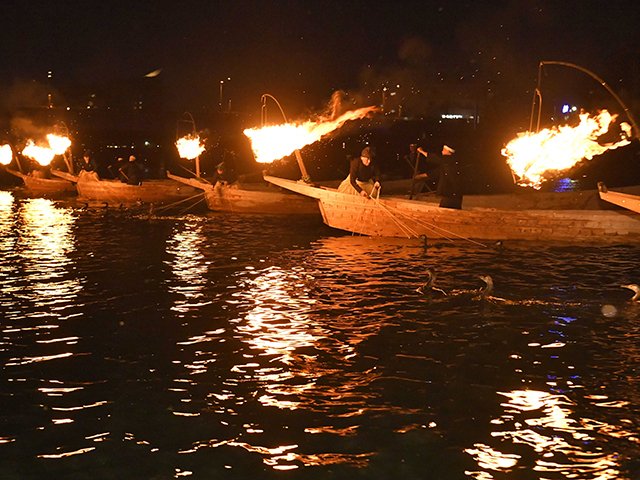 開幕した長良川鵜飼で総がらみを披露する鵜匠たち＝２１日午後８時１６分、岐阜市の長良川