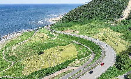 　国道２４９号沿いにある「白米千枚田」＝９月、石川県輪島市（ドローンから）