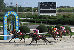 クイーンカップを１着でゴールする園田のハヴアナイスディ（丸野勝虎騎手）。２着は笠松のアペリラルビー（向山牧騎手）