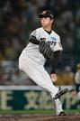 　８回無失点で１６勝目を挙げた阪神・高橋＝甲子園