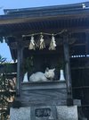 ほこらで眠る白猫。まるで神の化身だ＝垂井町