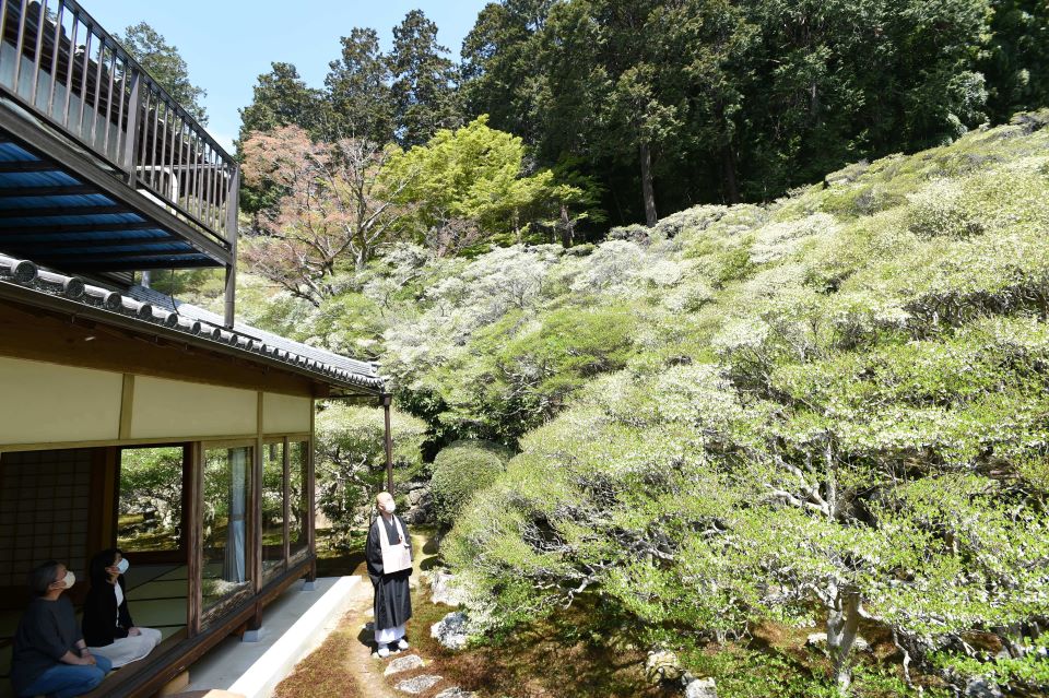 満開を迎え、庭園を白く彩るドウダンツツジ＝１２日午前１１時１７分、岐阜市粟野、大龍寺