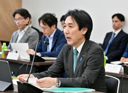 　所得連動給付を巡る協議で発言する城内全世代型社会保障改革相＝３１日午後、東京都港区
