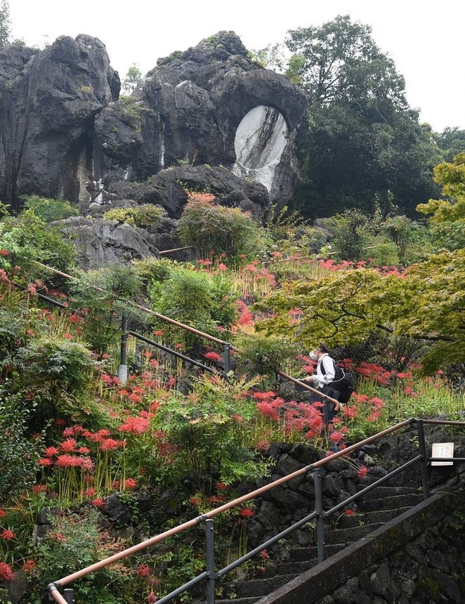 鮮やかなヒガンバナが見頃を迎えている境内＝大垣市赤坂町、金生山明星輪寺