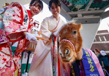 　大阪・新世界の通天閣で行われた干支の引き継ぎ式で、対面したコーンスネークとポニー＝２６日午前