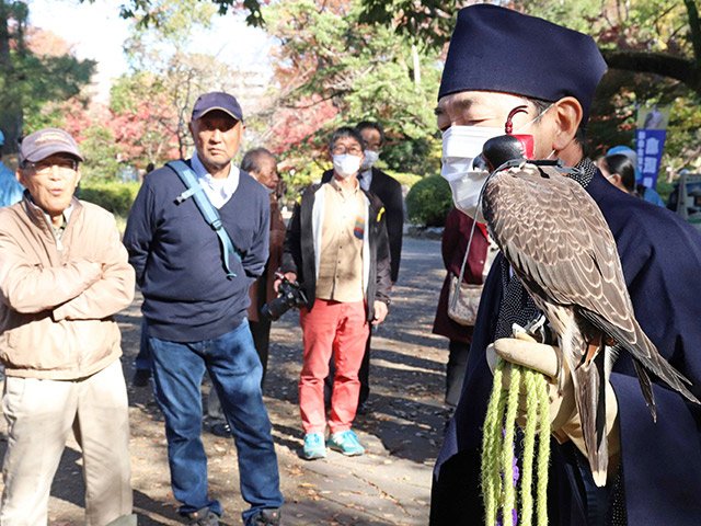 ハヤブサの習性を説明する伏屋典昭さん＝岐阜市大宮町、岐阜公園