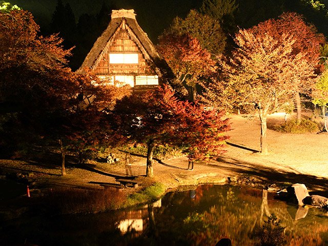 ライトアップされた合掌造り家屋と紅葉＝１日午後７時５８分、大野郡白川村荻町、野外博物館合掌造り民家園
