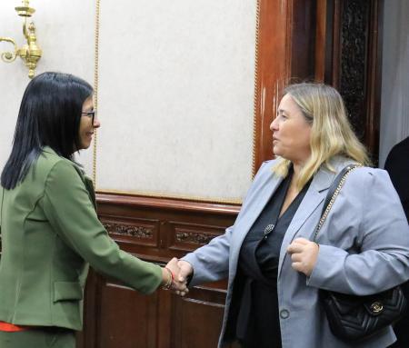 　握手を交わすベネズエラのロドリゲス暫定大統領（左）と欧州連合（ＥＵ）の代表＝１２日、カラカス（ロイター＝共同）