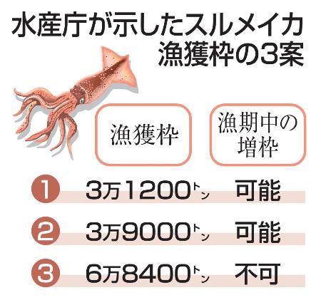 　水産庁が示したスルメイカ漁獲枠の３案