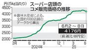 　スーパー店頭のコメ販売価格の推移