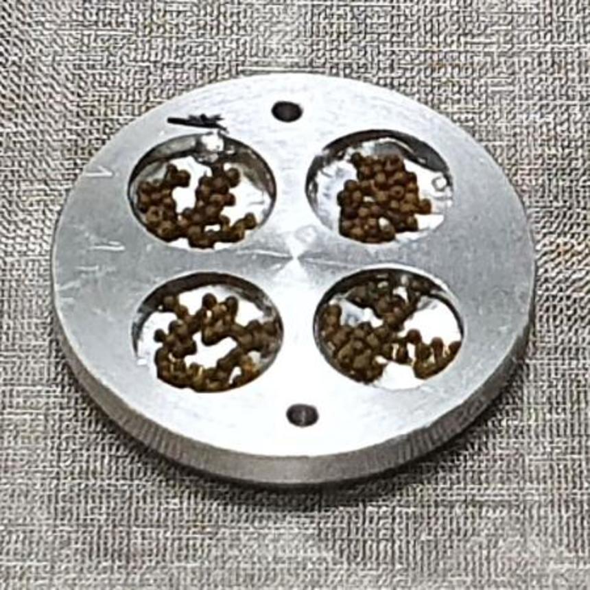 　実験装置に入れたコケ胞子の粒。１粒に約４千個の胞子が入っている（藤田知道教授ら提供）