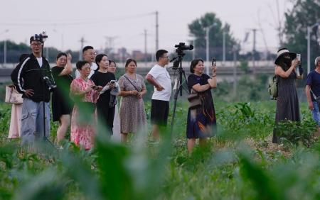 　中国四川省成都で、ジャイアントパンダをのせたチャーター機の空港到着を見に集まった人たち＝２８日（共同）