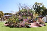 　花の祭典「フクオカフラワーショー」の会場＝２０日、福岡市植物園