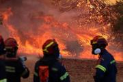 　アテネ近郊の山火事で作業に当たる消防士ら＝２日（ロイター＝共同）