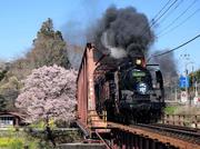 　東武鉄道の「ＳＬ大樹」＝栃木県日光市（同社提供）