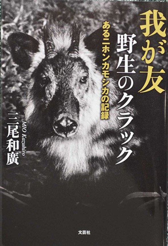 三尾和廣さん著の「我が友野生のクラック」