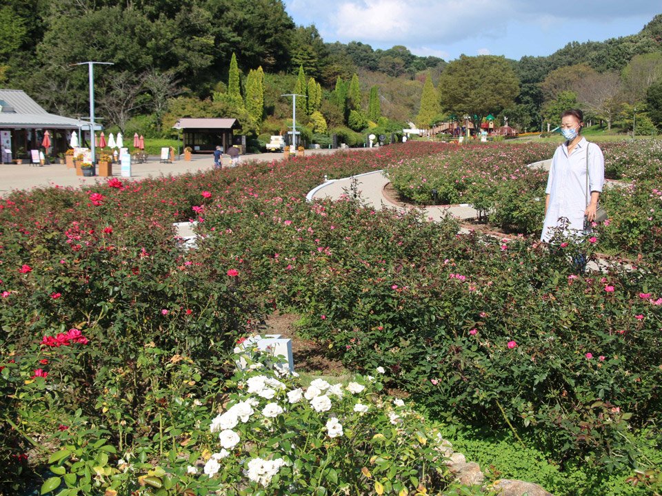 入り口近くのガーデンを散策する阿部容子さん。ガーデンの一部は阿部さん自身が植栽のデザインを手掛けた＝同、ぎふワールド・ローズガーデン