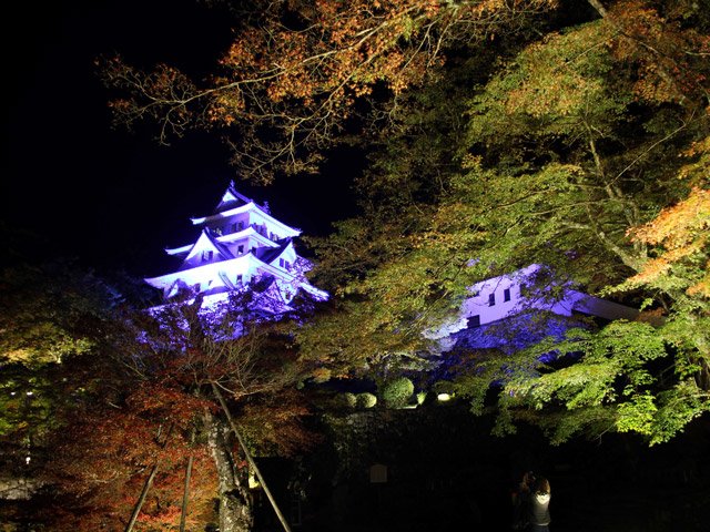 ライトアップされた城郭と紅葉＝郡上市八幡町、郡上八幡城