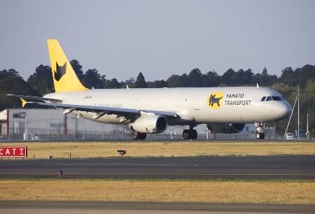 　成田空港から離陸する、ヤマトＨＤと日本航空グループが就航させた貨物専用機＝２０２４年