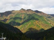 色づいている周囲の山々＝下呂市乗政