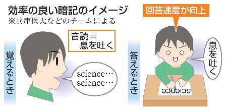 　効率の良い暗記のイメージ