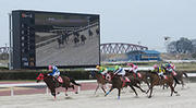 笠松競馬場でも大型ビジョンが稼働し、迫力ある映像でレースが楽しめる