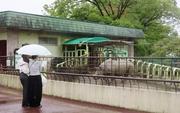 　熊本市動植物園のクロサイ舎＝２６日午後
