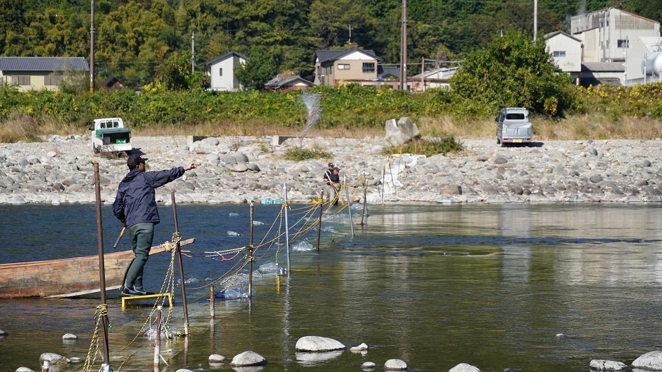 川に網を投げ入れる地元の男性＝美濃市港町