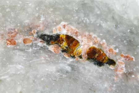 　黒緑色の「アマテラス石」を含む鉱物集合体。褐色部などは別の鉱物（東京大物性研究所提供）