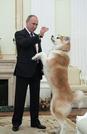 　ロシアのプーチン大統領と秋田犬「ゆめ」（ロシア大統領府提供・共同）