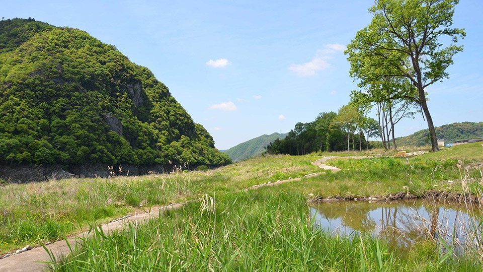 河川区域内に整備された「木曽川の森散策路」＝坂祝町酒倉