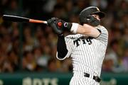 　８回阪神１死一塁、佐藤が右越え２ランを放つ＝甲子園