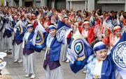 　「よさこい祭り」で演舞を披露する踊り子たち＝１０日午前、高知市
