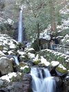 勢いよく水が流れ落ちる冬の「養老の滝」＝２２日、養老郡養老町、養老公園