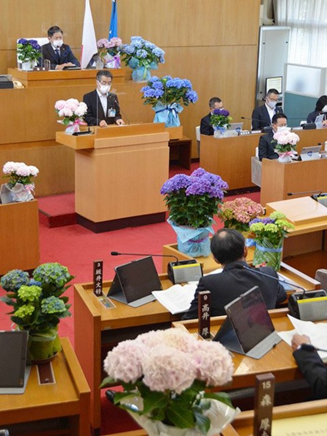 美濃加茂市の花・アジサイの鉢植えが飾られた議場＝同市役所