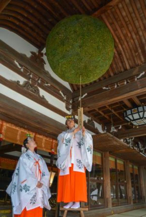 　奈良県桜井市の大神神社でかけ替えられた大杉玉＝１３日午前