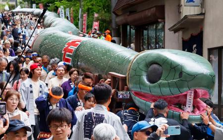 　群馬県沼田市の老神温泉を練り歩く全長約１０８メートルの大蛇みこし。今年のえと「巳」に合わせて１２年ぶりに披露された＝９日午後