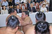 　稽古総見を見守る日本相撲協会の八角理事長（奧右から２人目）ら＝両国国技館（代表撮影）